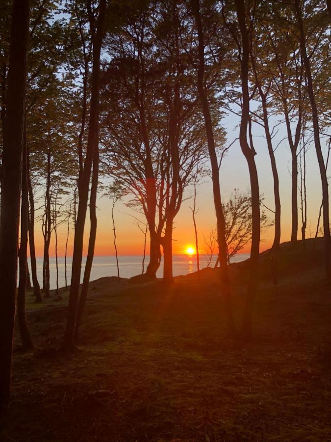 Dom Letniskowy Dorota Villa Poddąbie Dış mekan fotoğraf